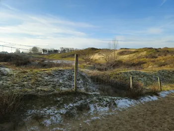 Oostnieuwkerke duinen wandeling in de koude (België)